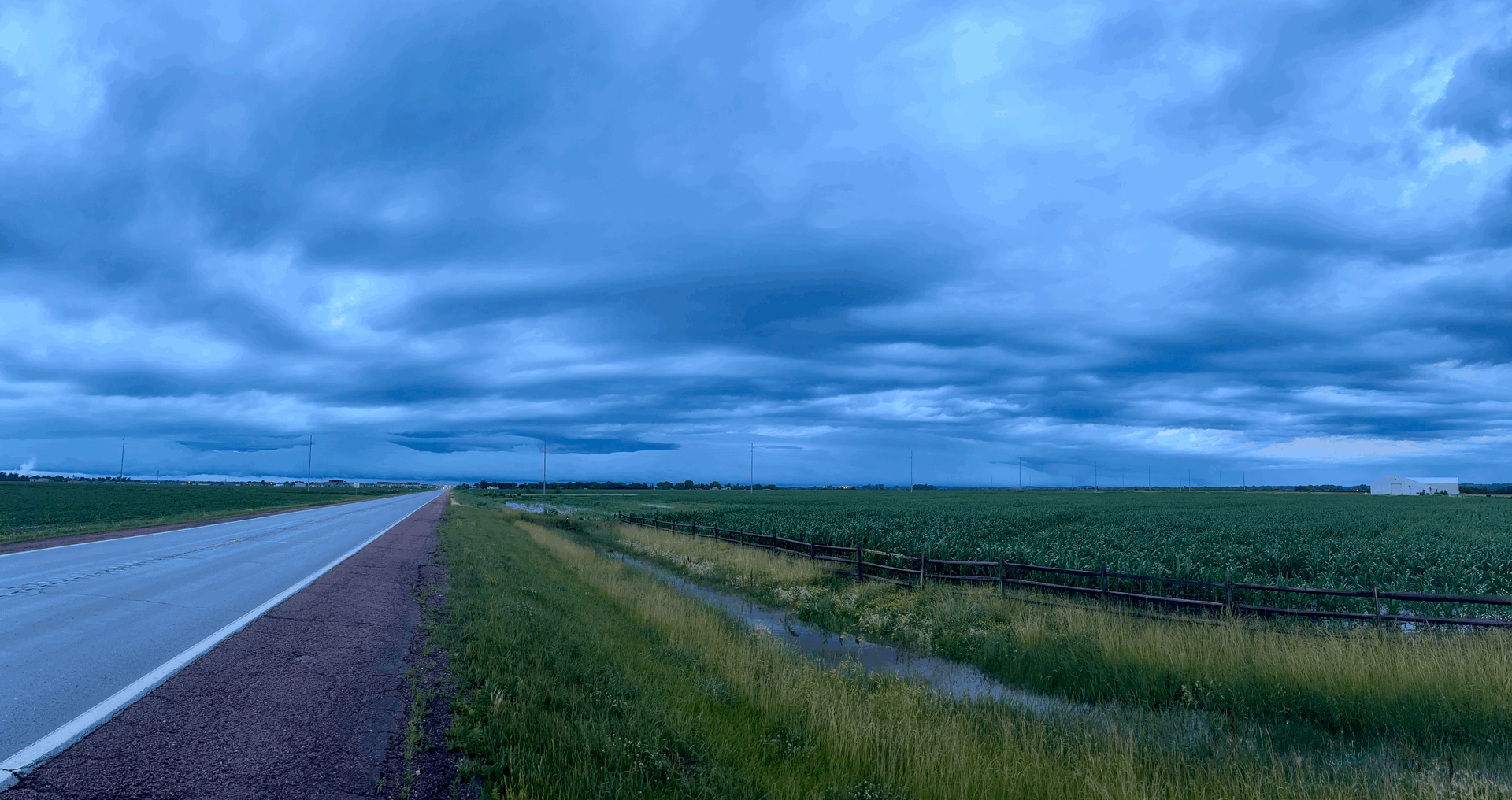 The Thursday Dispatch - June 26, 2025