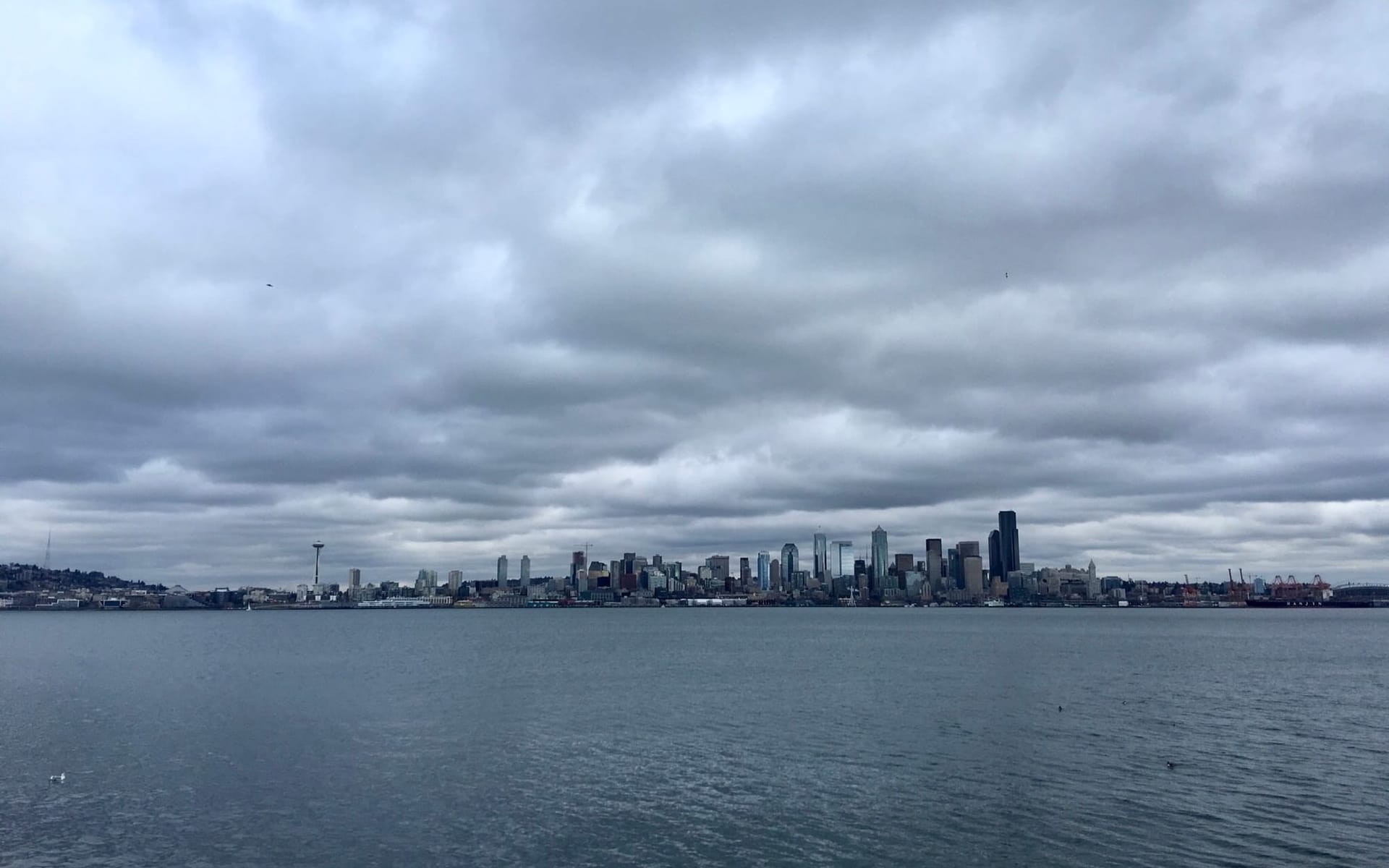 The Thursday Dispatch - July 24, 2025