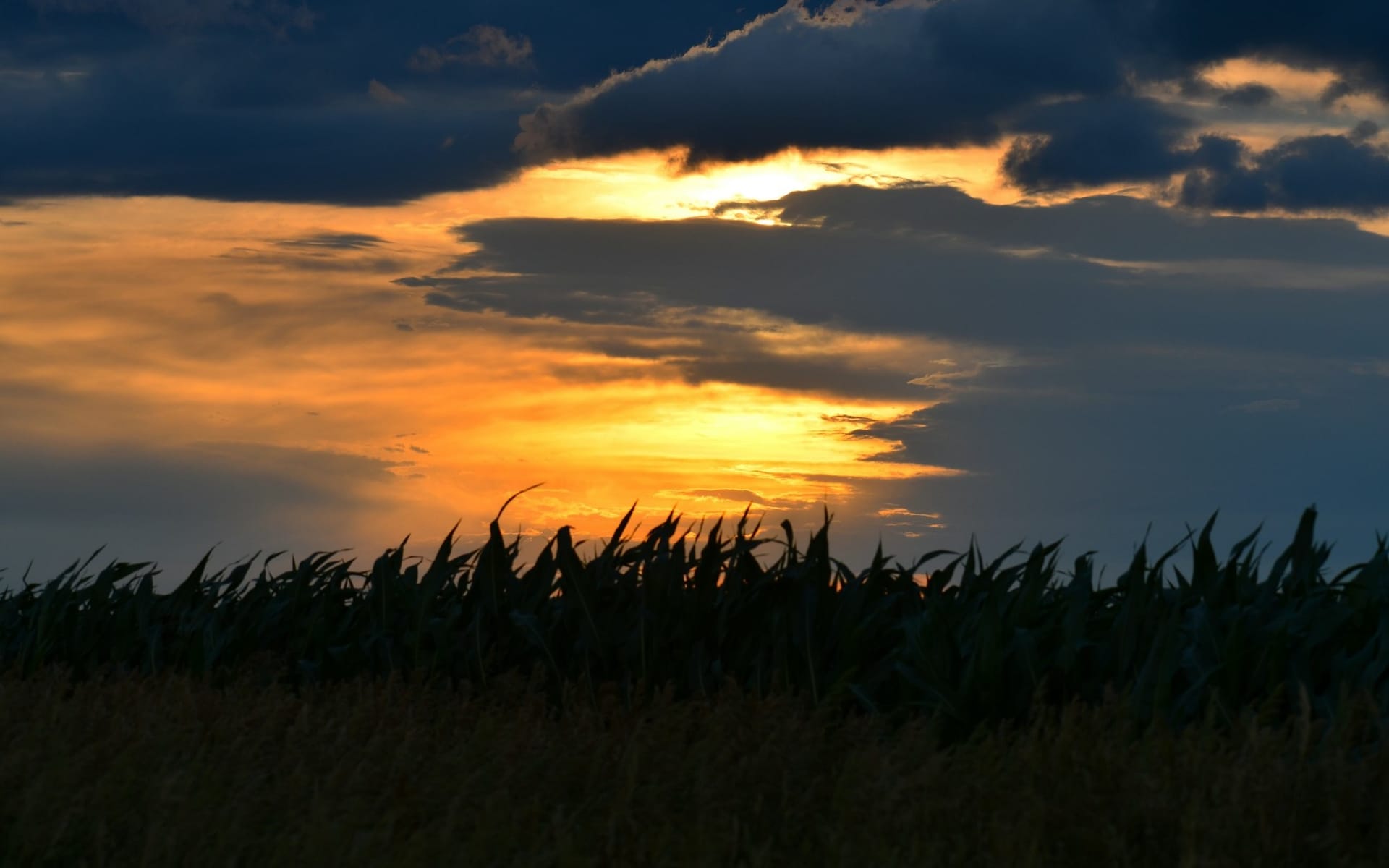 The Thursday, er... Saturday Dispatch - 30 August 2025