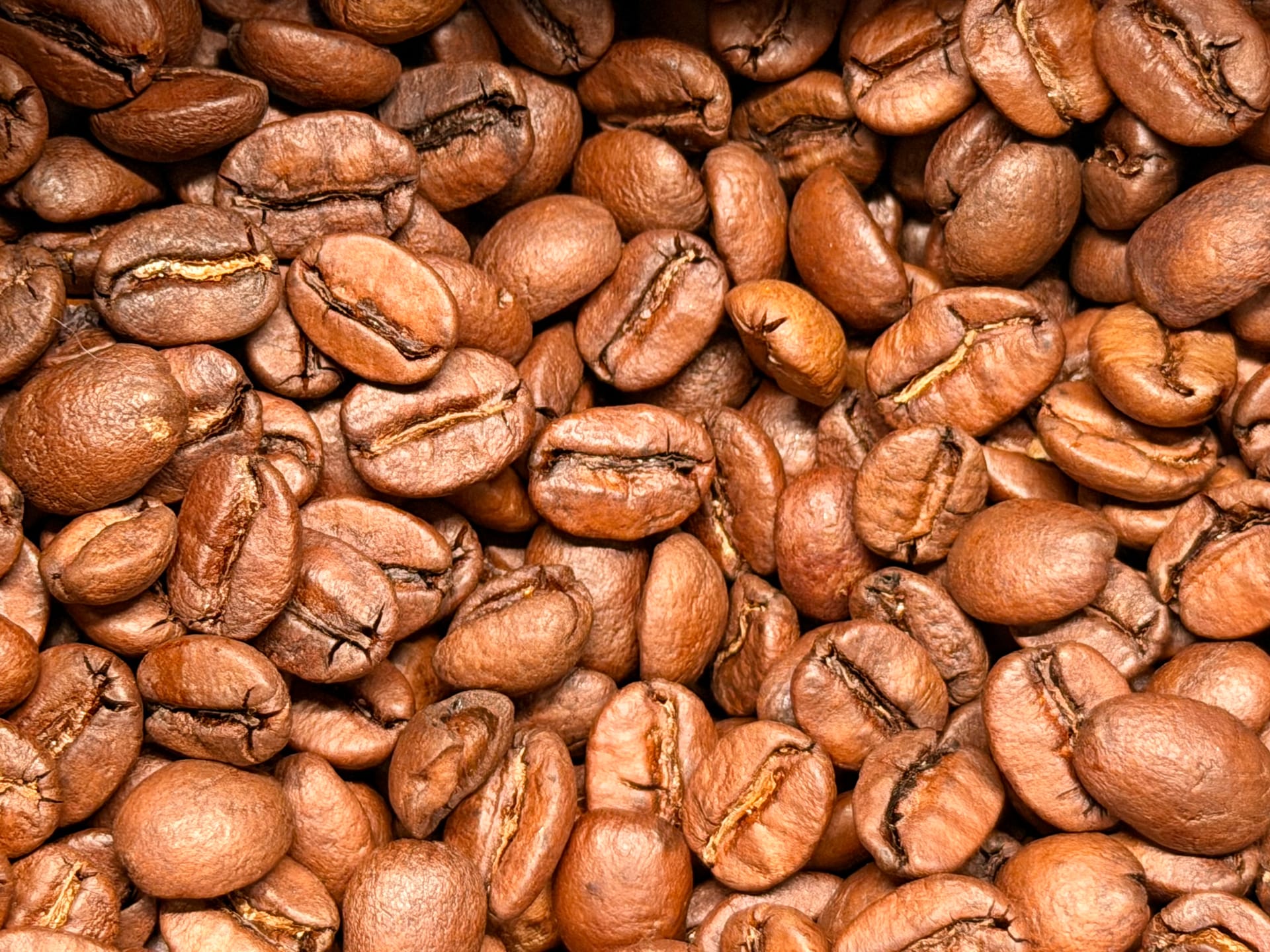 Coffee Beans