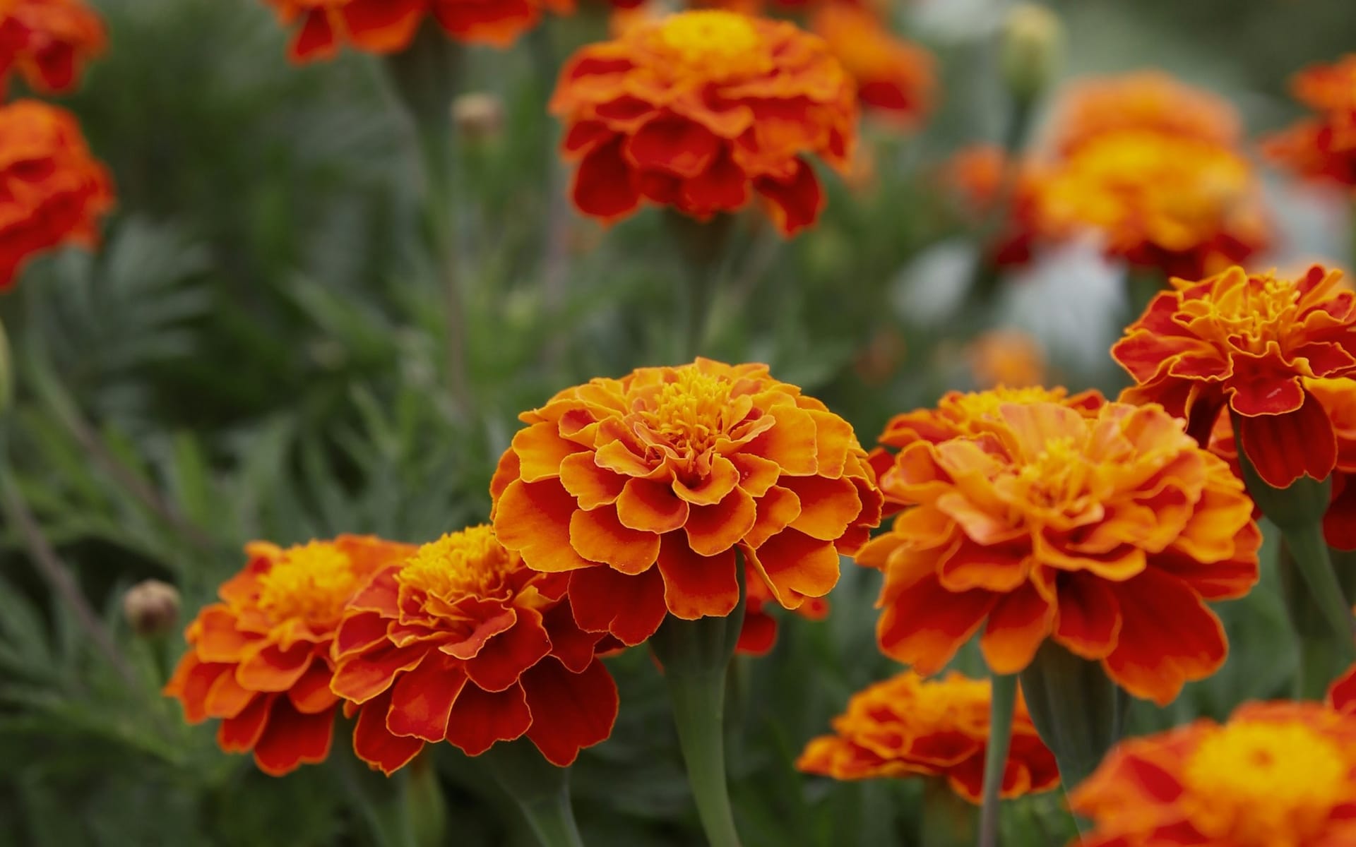 The Thursday Dispatch - 26 February 2026