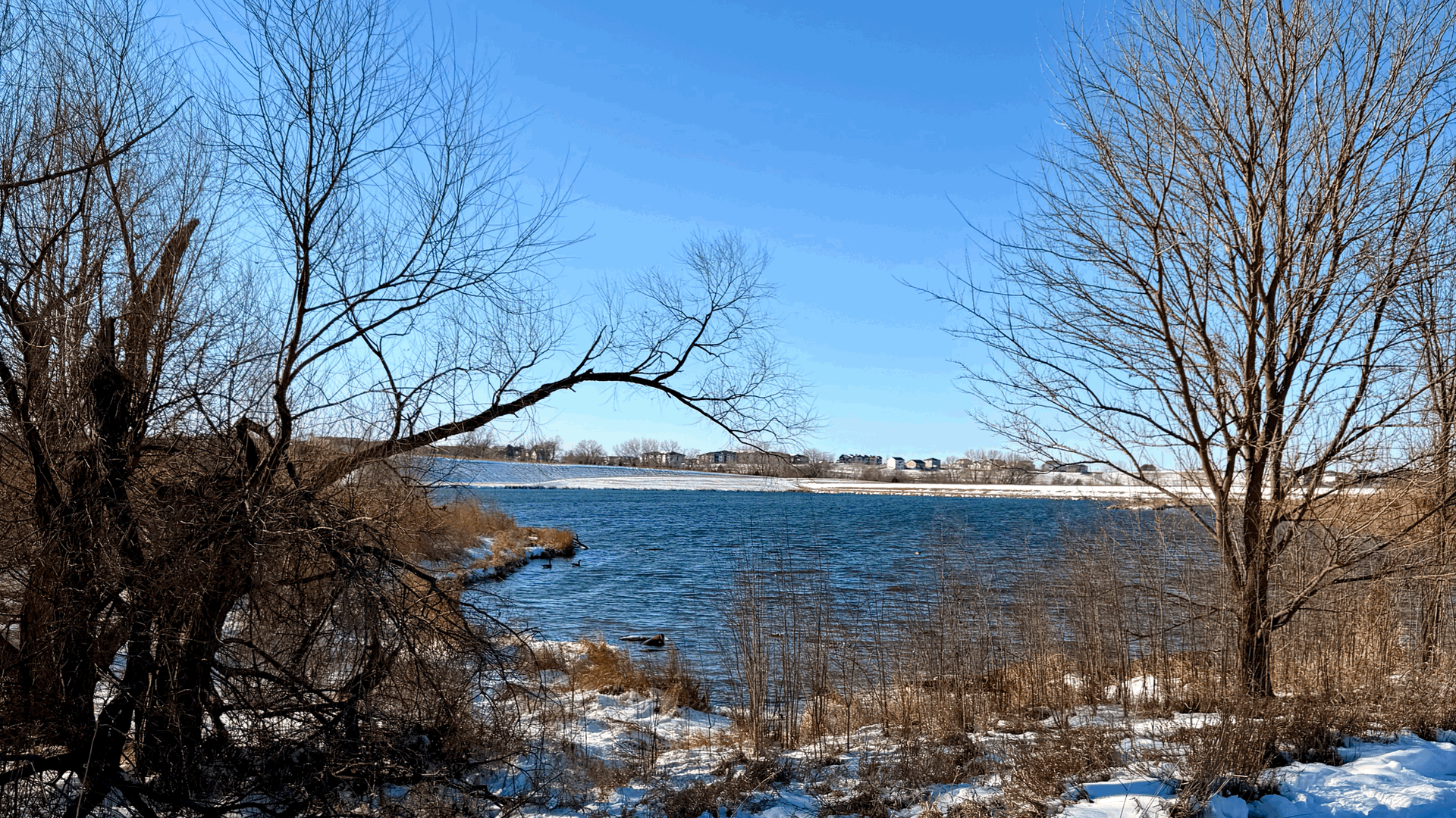 Well, That Was a Cold Walk