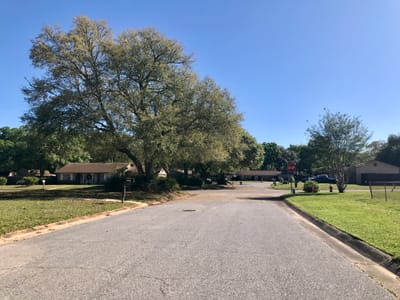 The Thursday Dispatch - 22 January 2026