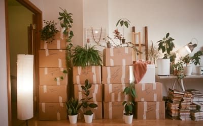 Moving Old Blog Posts